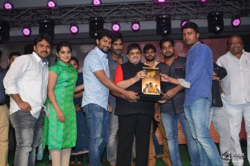 Ninnu Kori Movie Blockbuster Celebration At Vijayawada